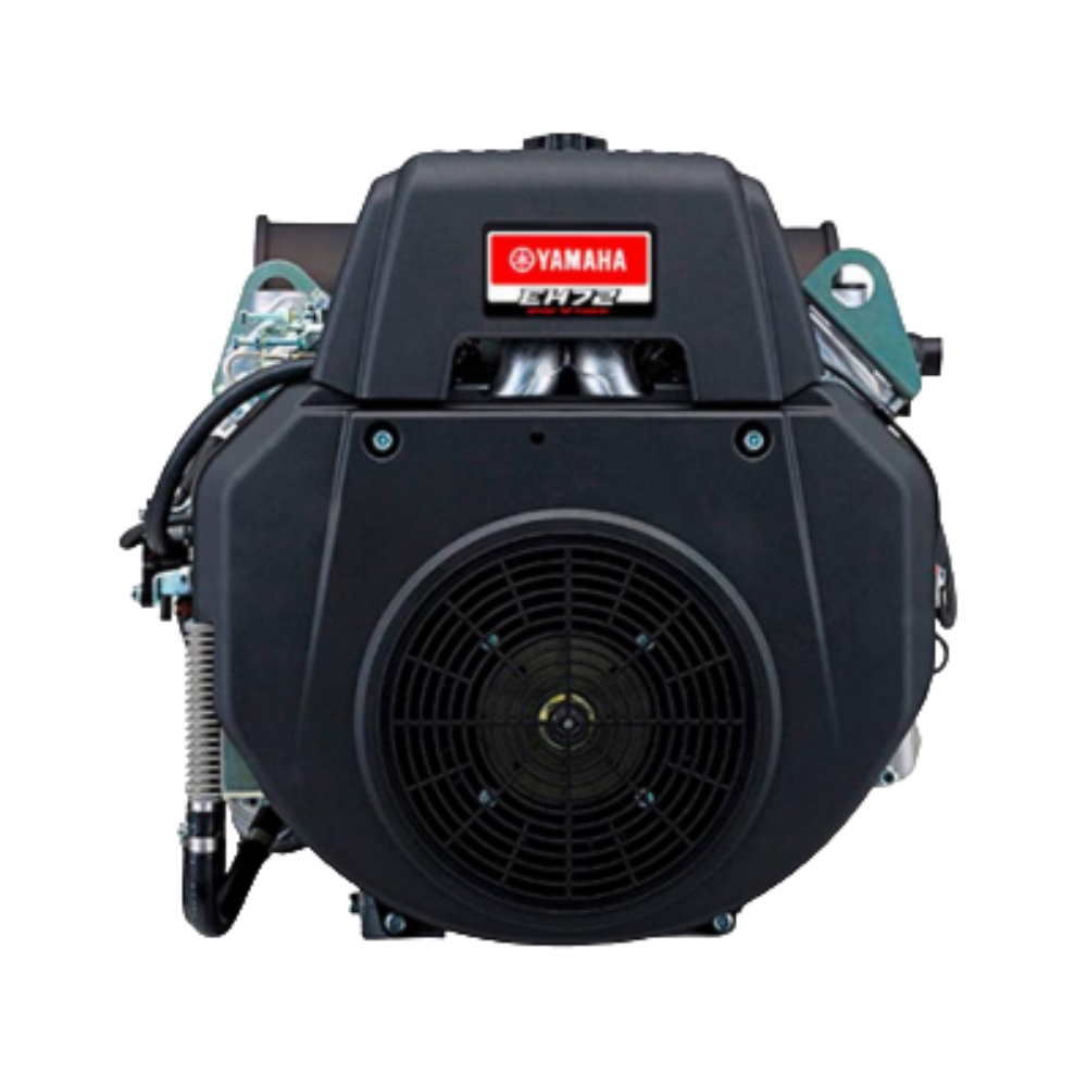 El texto del párrafo (56)