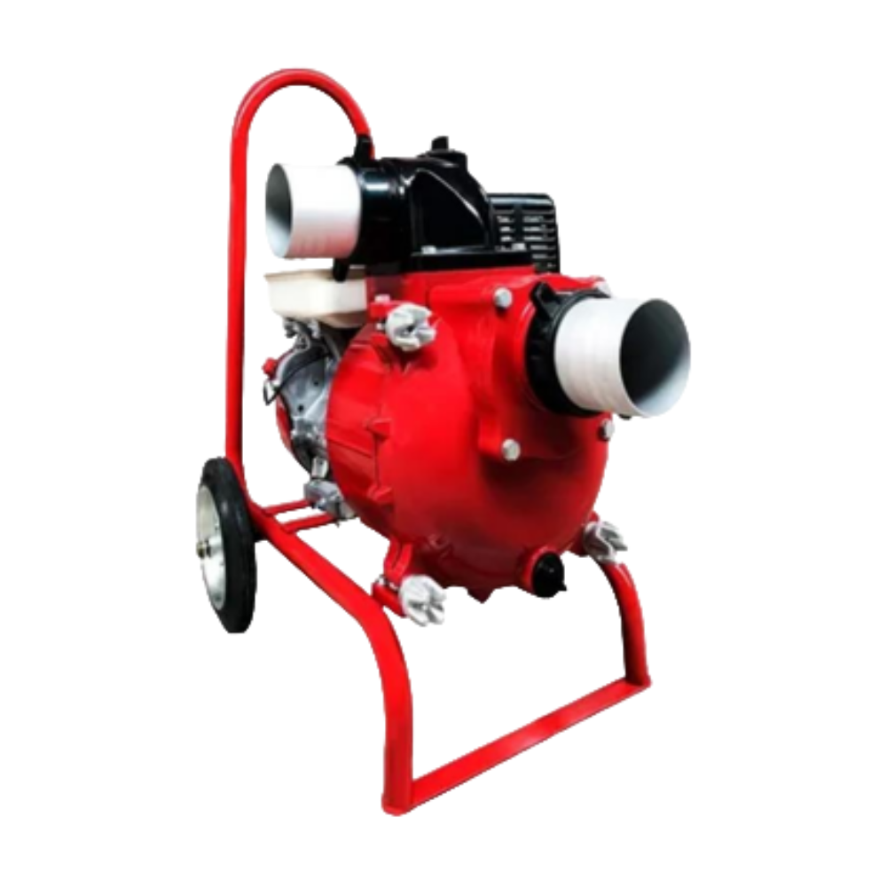 El texto del párrafo (65)