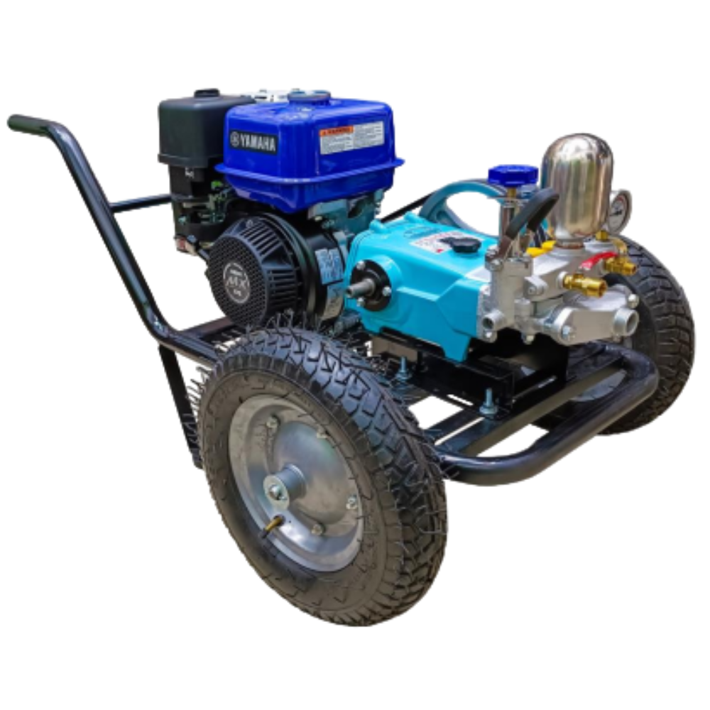 El texto del párrafo (69)