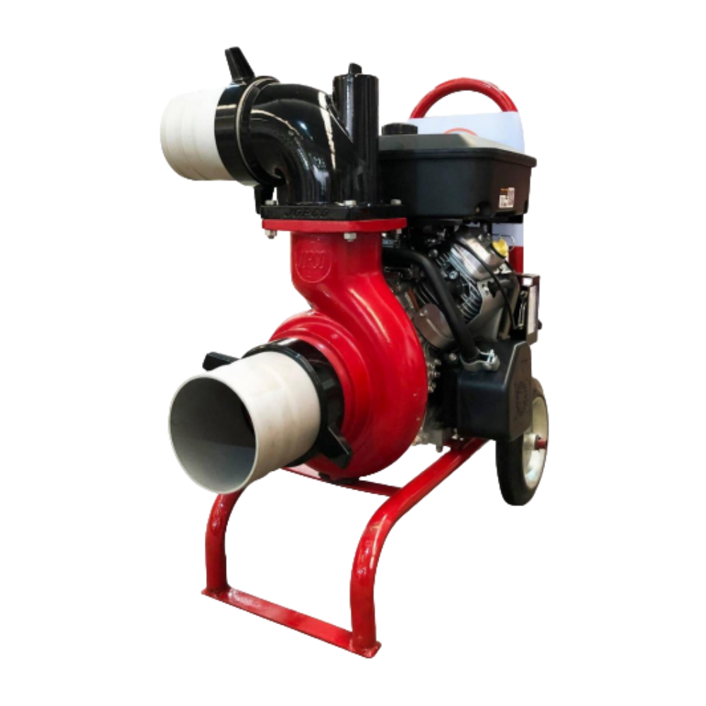 El texto del párrafo (78)