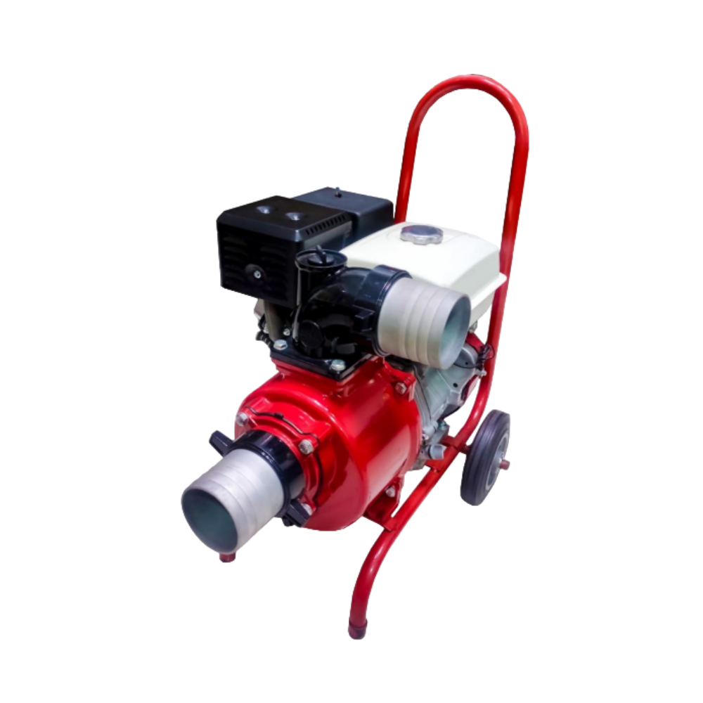 El texto del párrafo (84)