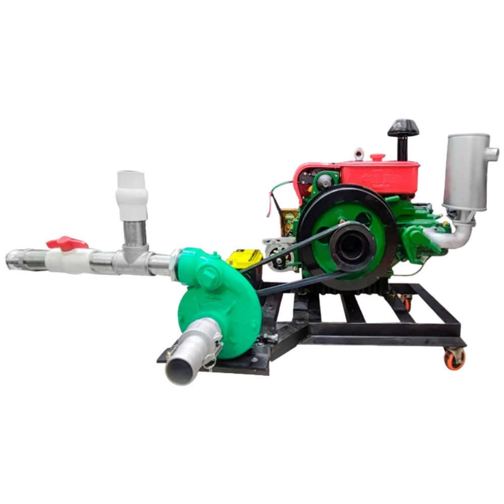 El texto del párrafo (88)